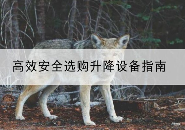 振兴升降货梯厂家推荐-*安全选购升降设备指南