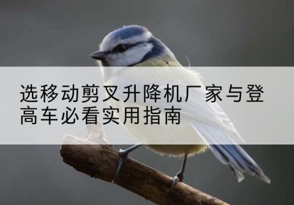 振兴电动升降机厂家-选移动剪叉升降机厂家与登高车必看实用指南