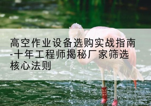 振兴剪叉式升降机厂家-高空作业设备选购实战指南-十年工程师揭秘厂家筛选核心法则