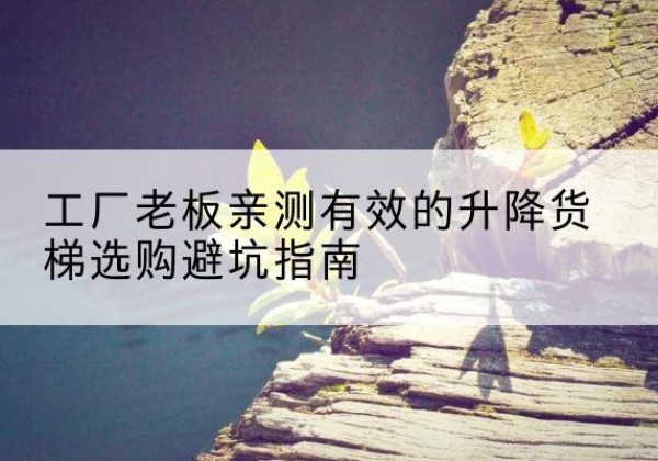 振兴升降货梯怎么选-工厂老板亲测有效的升降货梯选购避坑指南